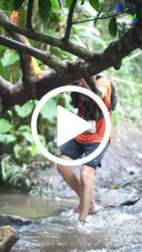 BIB:  <button type="button" onclick="openModal(27824392)" class="btn btn-primary btn-sm float-right" data-toggle="modal" data-target=".modal-high-quality">
                <i class="fa fa-download"></i> Download
                </button>